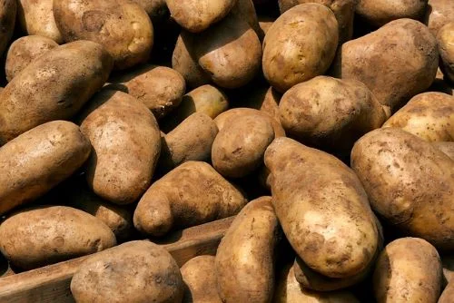 Benefits Of Sweet Potatoes