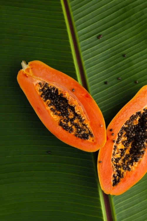 Benefits of papaya for stomach