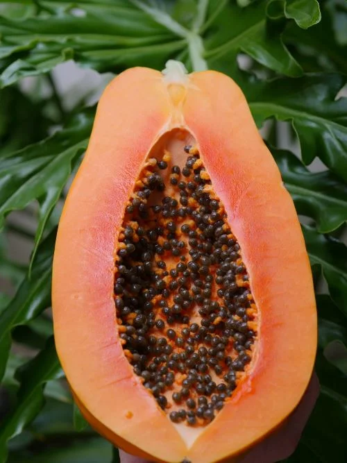Benefits of papaya on face