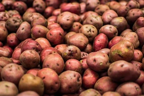Benefits of red potatoes for weight loss