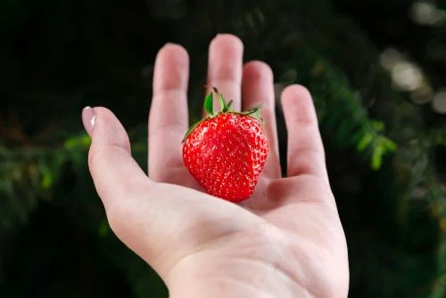 Benefits of strawberry for skin