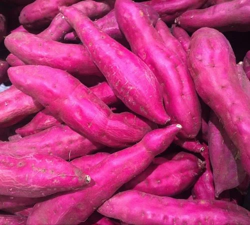 Benefits of sweet potatoes for female