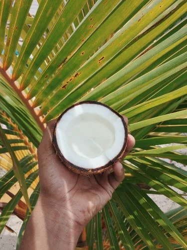 Coconut Benefits For Male