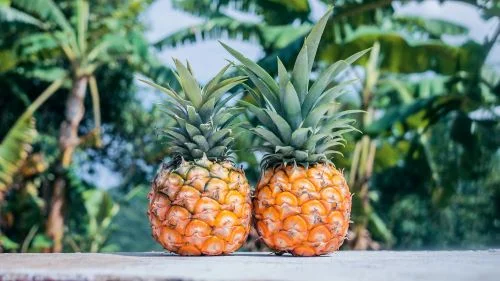 conclusion benefits of pineapple