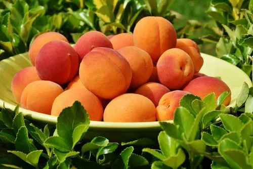 Benefits Of Peach