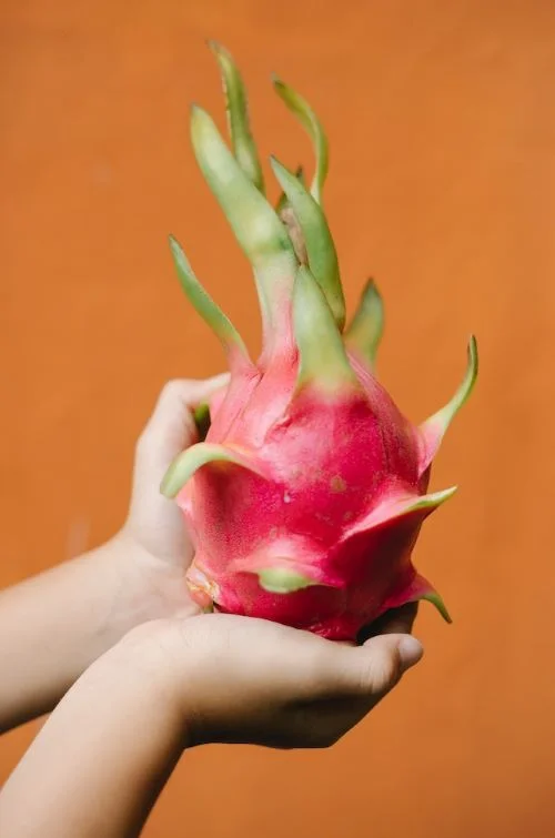 Benefits of Dragon fruit for male