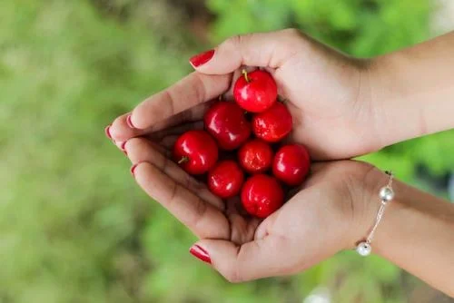 Benefits of cherry for skin