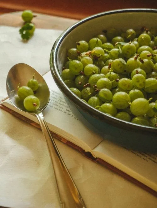 Benefits of gooseberry for eating empty stomach