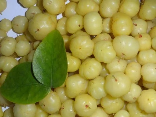 Benefits of gooseberry for eyes