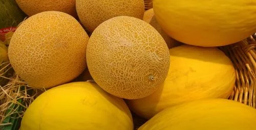 Benefits Of Cantaloupe For Skin