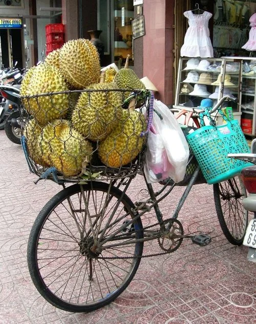 Benefits Of Jackfruit For Gym