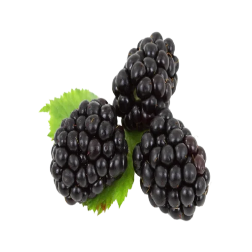Benefits-of-blackberry.webp
