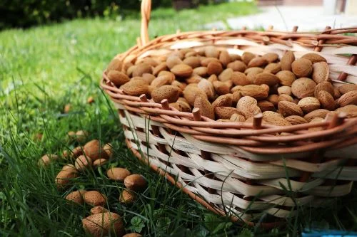 Soaked almonds vs dry almonds